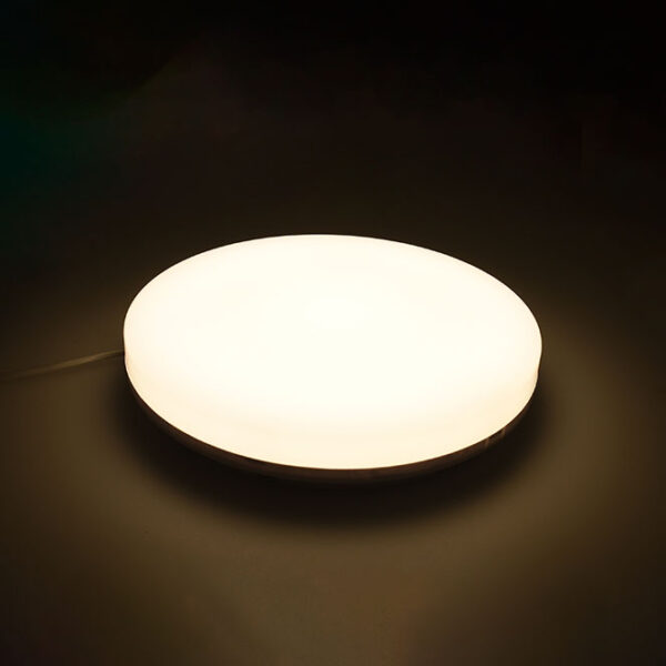 Plafond MEDINA médio IP54 1x24W LED 1920lm 4000K Alt.5,5xD.28cm Branco - Image 3