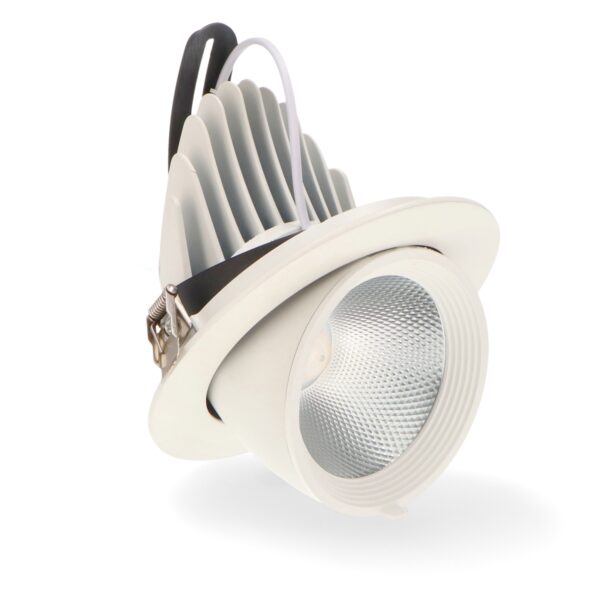 Foco Downlight LED Direcionável Track 30W 6000K