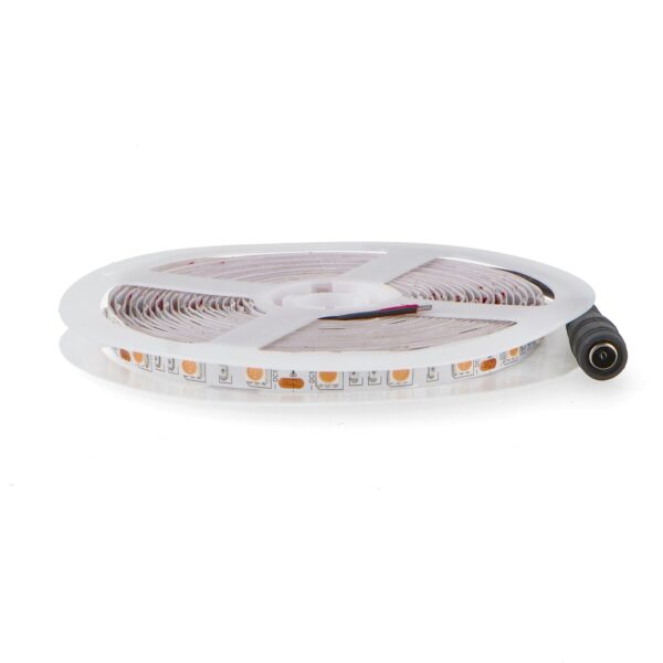 Fita LED 12VCC SMD5050 IP20 Purple 60 LED/m - 5 Metros