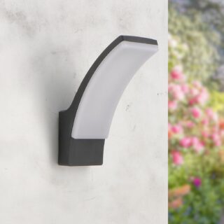 Aplique de parede LED Winnie Black 12W CCT