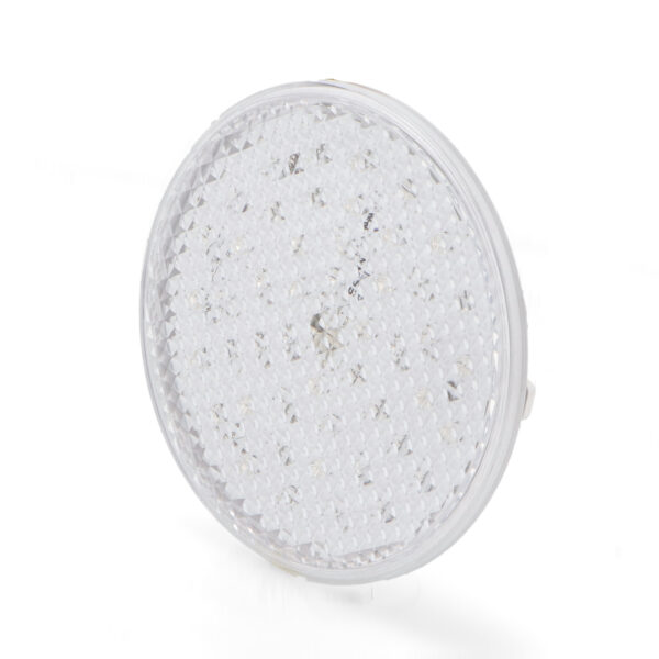 Lâmpada LED PAR56 Serie Next 25W IP68 RGBW de dois fios de Piscina