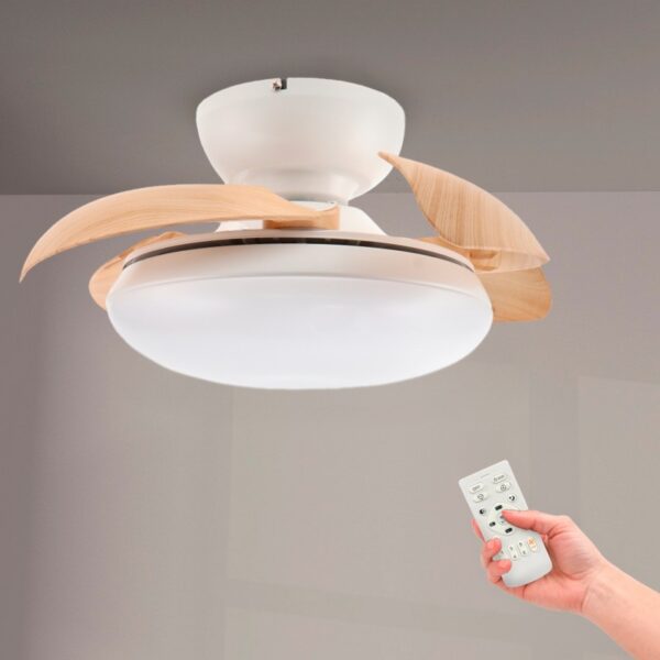 Ventoinha de Teto LED Wood Mushroom Ø72,5 cm  CCT