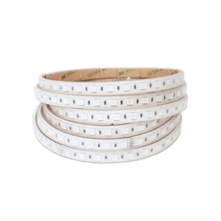 Fita LED 230V 15W/m 72LED/m RGB+W (4000K) IP65 50m/rolo