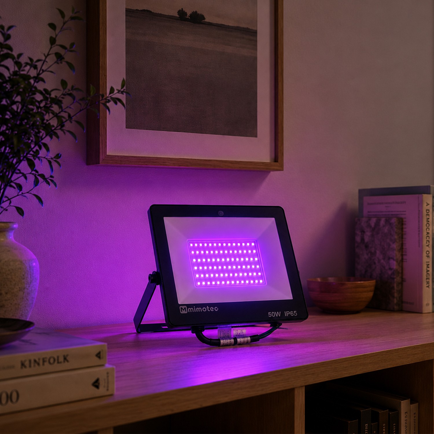 Projetor LED Serie Dome 50W RGB - Image 4