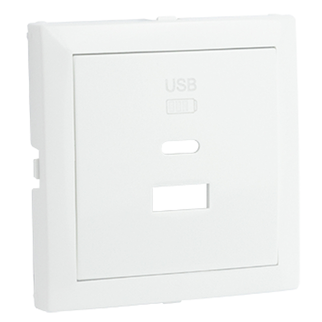 Centro para carregador duplo USB Tipo A + Tipo C em branco