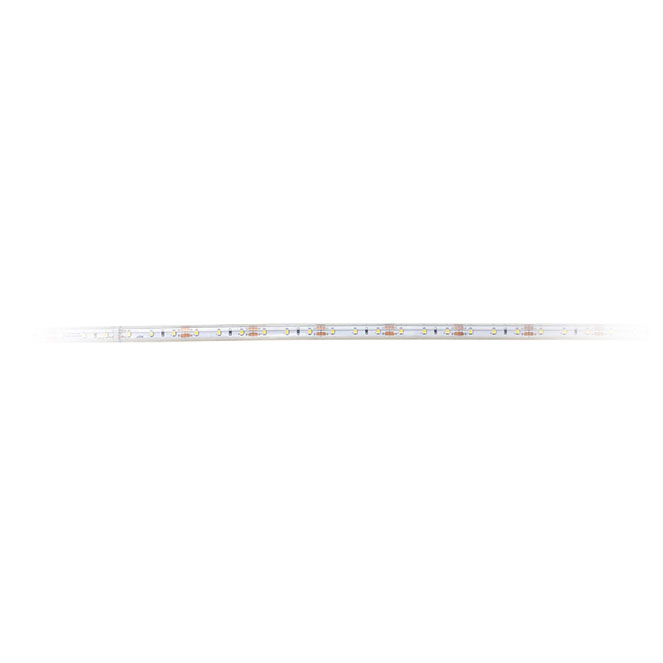 Fita LED SPUTNIK 12Vdc 4.5W/m 60LED/m 3000K IP68 5m/rolo - Image 3